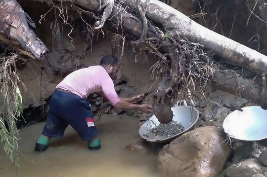 Potret Penambang Emas di Sungai Papua