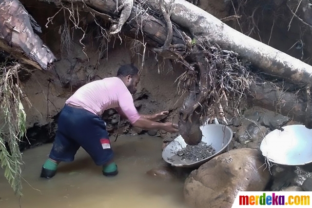 Foto Potret Penambang  Emas  di Sungai Papua merdeka com