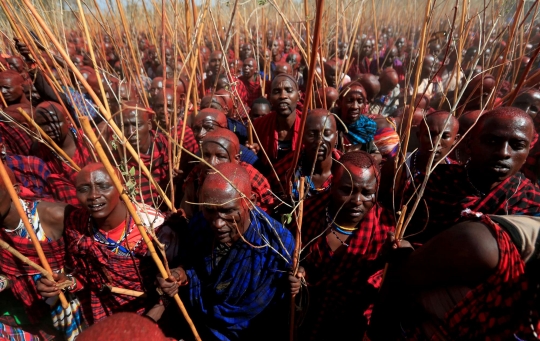 Melihat Ritual Menjadi Sesepuh Suku Maasai