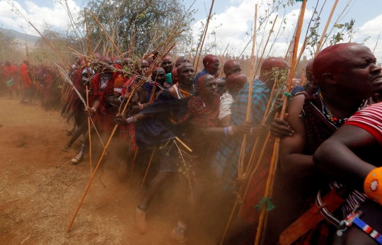 Melihat Ritual Menjadi Sesepuh Suku Maasai