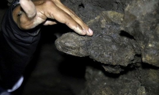 Penemuan Fosil Mastodon Kerabat Mammoth yang Punah 10 Ribu Tahun Lalu