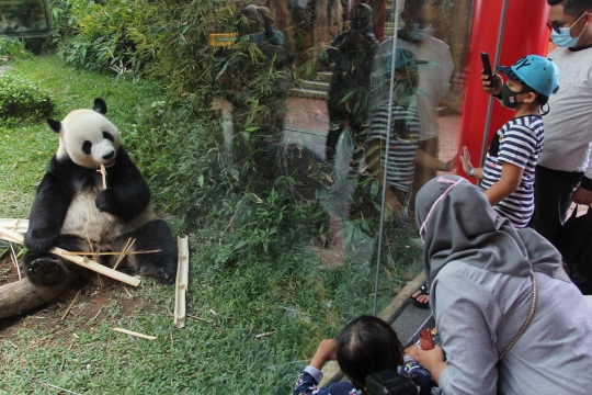 Dampak PSBB Jakarta, Wisatawan di Kawasan Puncak Turun 50 Persen