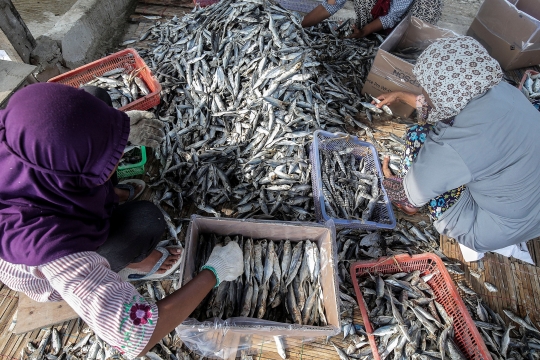 Geliat Penjualan Ikan Asin Tetap Tangguh di Tengah Pandemi