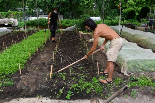 Lahan Terbatas, Atap Mal di Singapura Disulap Jadi Kebun Sayur