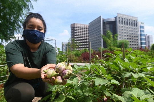Lahan Terbatas, Atap Mal di Singapura Disulap Jadi Kebun Sayur