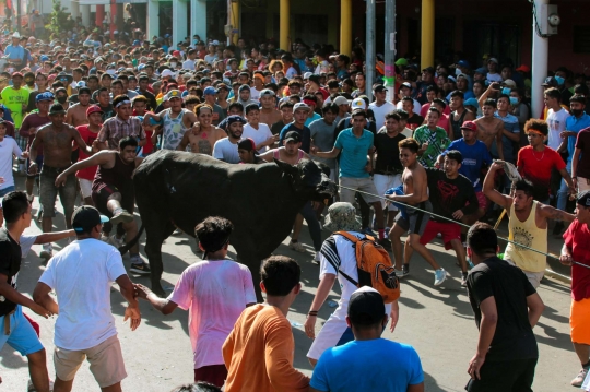 Melepas Banteng Liar untuk Penghormatan San Jeronimo