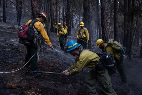 Saat Para Napi Bantu Padamkan Kebakaran Hutan di Oregon