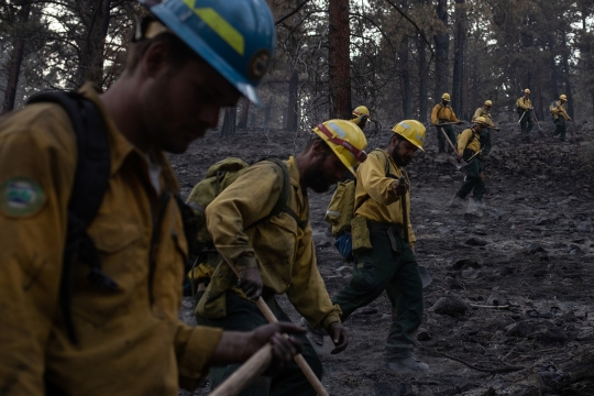 Saat Para Napi Bantu Padamkan Kebakaran Hutan di Oregon