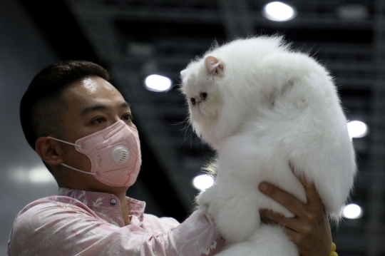 Tingkah Lucu Kucing di Cat Expo Malaysia