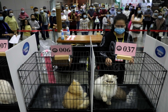Tingkah Lucu Kucing di Cat Expo Malaysia