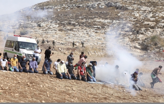 Potret Warga Palestina Salat di Tengah Tembakan Gas Air Mata Israel