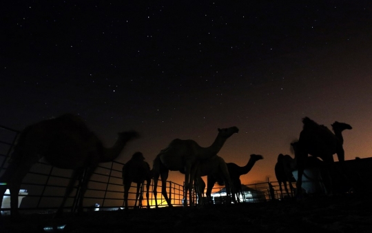 Indahnya Galaksi Bima Sakti di Atas Langit Kuwait