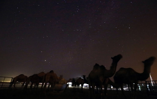 Indahnya Galaksi Bima Sakti di Atas Langit Kuwait
