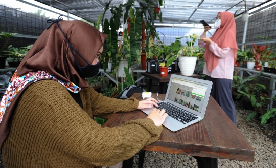 Penjualan Tanaman Hias Lewat Online Meningkat 100 Persen