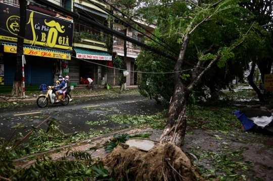 Pohon-Pohon Bertumbangan Usai Topan Molave Hantam Vietnam