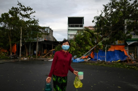 Pohon-Pohon Bertumbangan Usai Topan Molave Hantam Vietnam