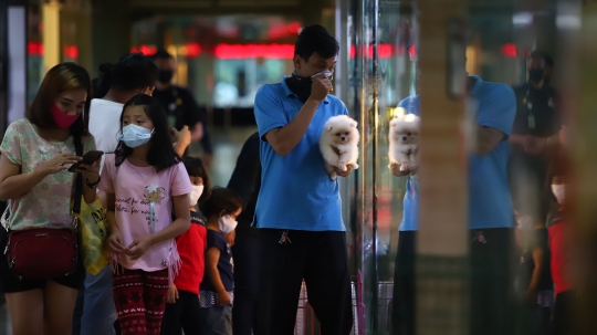 Usaha Pet Shop di Jakarta Masih Sepi Pelanggan