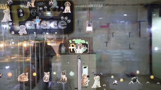 Usaha Pet Shop di Jakarta Masih Sepi Pelanggan