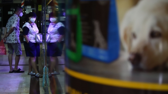 Usaha Pet Shop di Jakarta Masih Sepi Pelanggan
