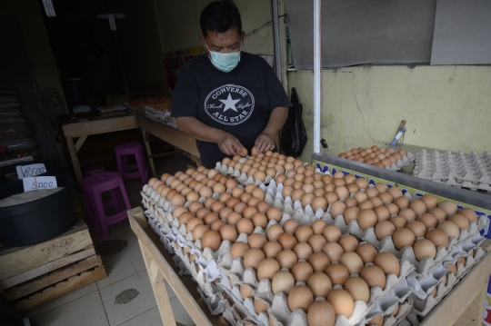 Harga Telur Turun Rp 2000 Perkilo