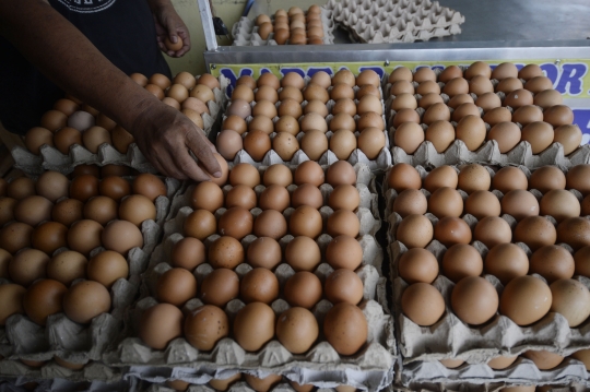 Harga Telur Turun Rp 2000 Perkilo