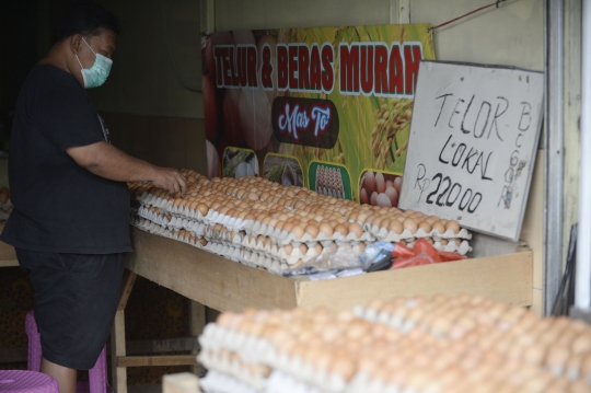 Harga Telur Turun Rp 2000 Perkilo