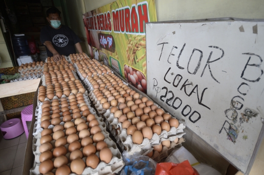 Harga Telur Turun Rp 2000 Perkilo