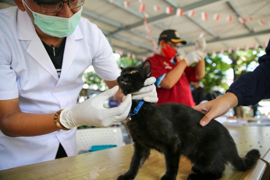 Pemberian Vaksin Anti Rabies Gratis untuk Hewan Peliharaan