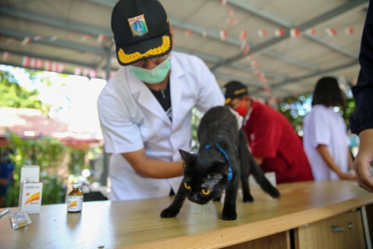 Pemberian Vaksin Anti Rabies Gratis untuk Hewan Peliharaan