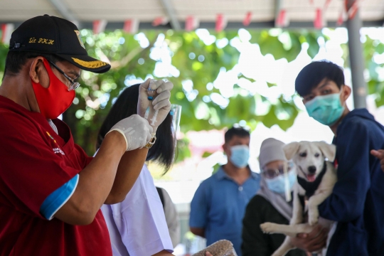 Pemberian Vaksin Anti Rabies Gratis untuk Hewan Peliharaan