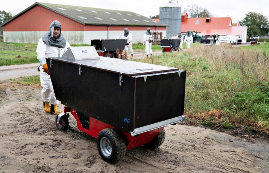 Temukan Mutasi Virus Corona Baru ke Manusia, Denmark Musnahkan Jutaan Cerpelai