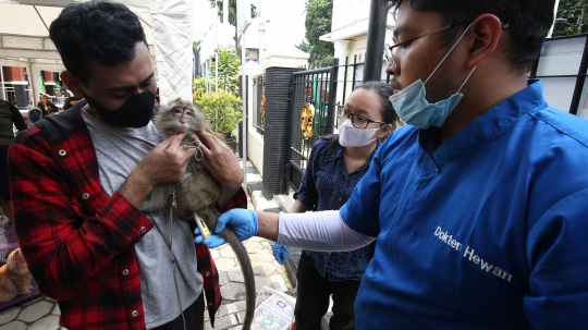 Cegah Rabies, Hewan Peliharaan Diberi Vaksin Gratis