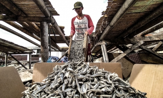 Nelayan Ikan Asin Terdampak Pandemi dan Musim Penghujan