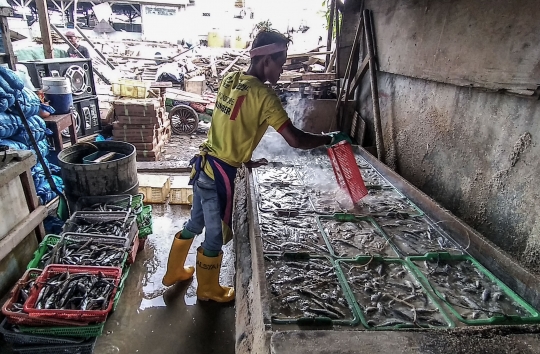 Nelayan Ikan Asin Terdampak Pandemi dan Musim Penghujan