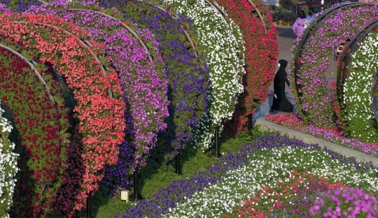 Mengunjungi Indahnya Dubai Miracle Garden, Taman Bunga Terbesar di Dunia