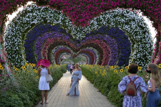 Mengunjungi Indahnya Dubai Miracle Garden, Taman Bunga Terbesar di Dunia