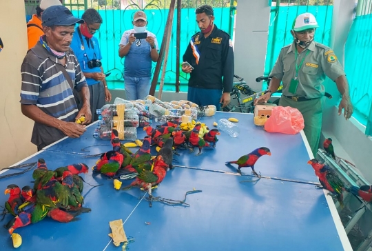 Petugas Gabungan Bebaskan Puluhan Burung Beo yang Dibungkus Botol Plastik