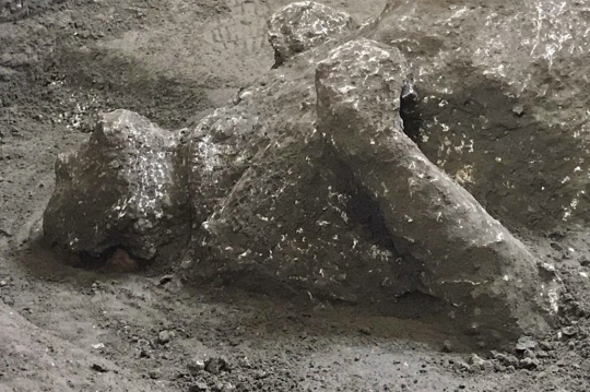 Penemuan Jenazah Korban Letusan Gunung 2.000 Tahun Silam di Pompeii