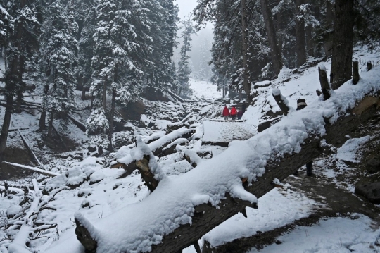 Kashmir Membeku Seusai Diguyur Hujan Salju Pertama