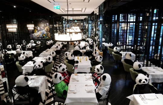 Lockdown, Boneka Panda Kuasai Restoran Jerman