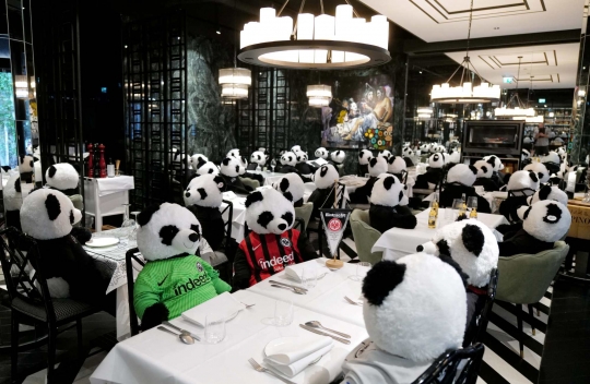 Lockdown, Boneka Panda Kuasai Restoran Jerman