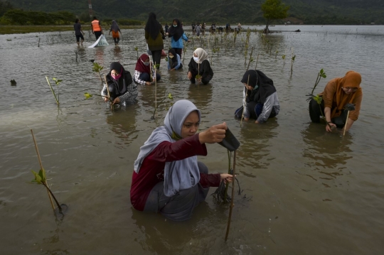 Aksi Menanam Pohon Bakau di Pantai Aceh