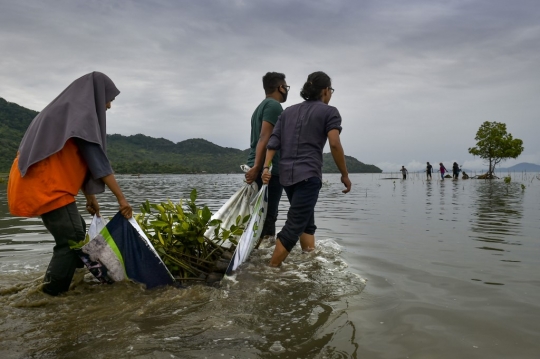 Aksi Menanam Pohon Bakau di Pantai Aceh