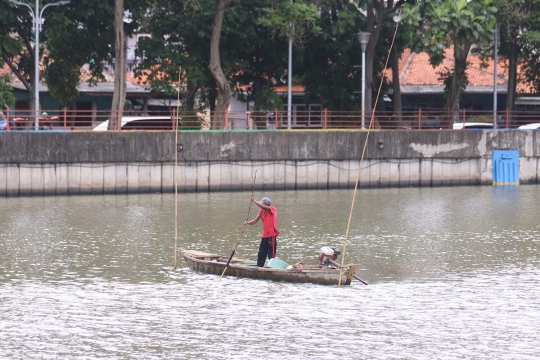 Permintaan Cacing Sutra di Tengah Pandemi