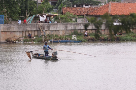 Permintaan Cacing Sutra di Tengah Pandemi