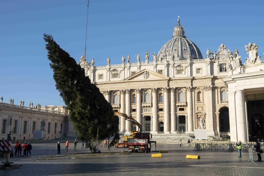 Pohon Natal Raksasa Hiasi Vatikan