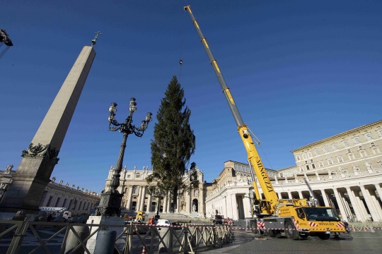 Pohon Natal Raksasa Hiasi Vatikan