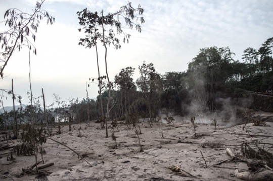 Kondisi Usai Erupsi Gunung Semeru