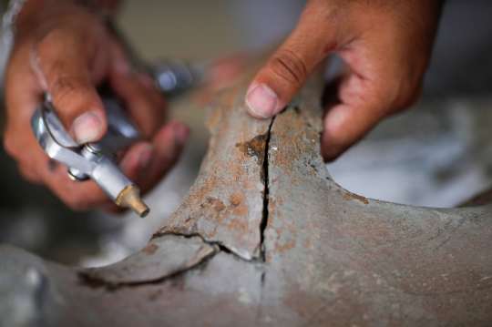 Penemuan Kerangka Paus Purba Berusia 5.000 Tahun di Thailand