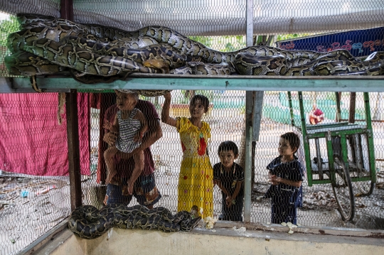 Mengunjungi Kuil Pelindung Ular di Myanmar